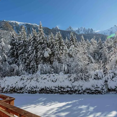 Le Tricouni Шамони