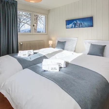 Шале Le Tricouni Шамони